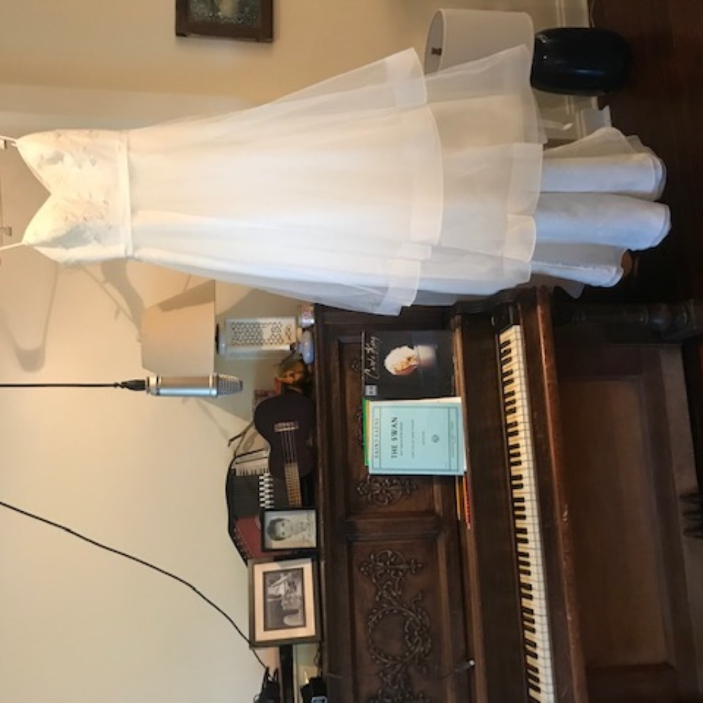 Wedding dress worn once in Nashville Music video